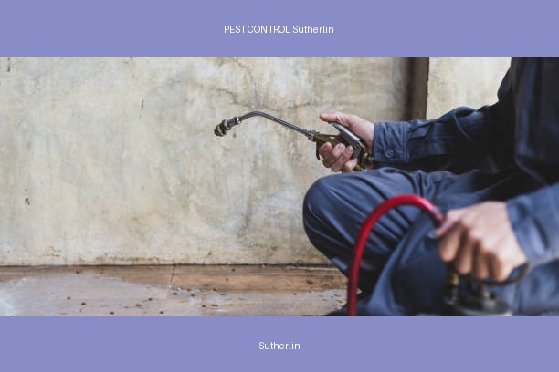 PEST CONTROL Sutherlin